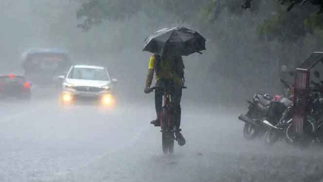 MARCH NAEEM 2ND/Rain_20250524_122827429.jpg